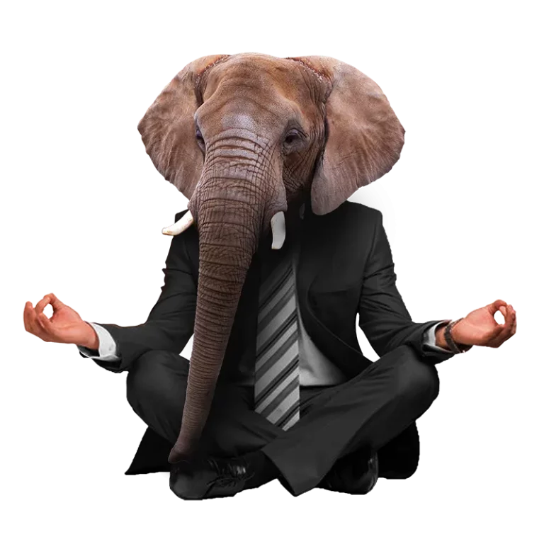 elephant_meditating
